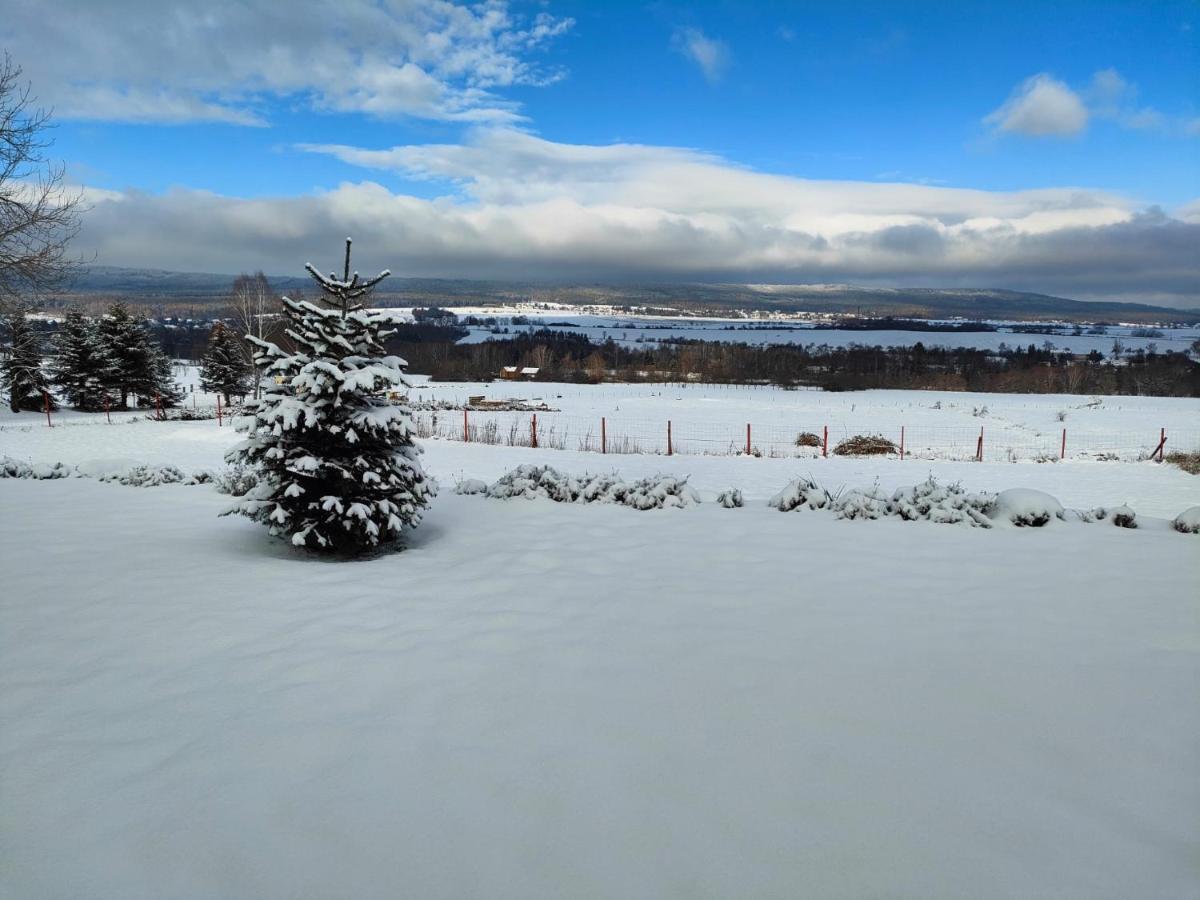 Villa Panorama House Brdy Příbram Esterno foto