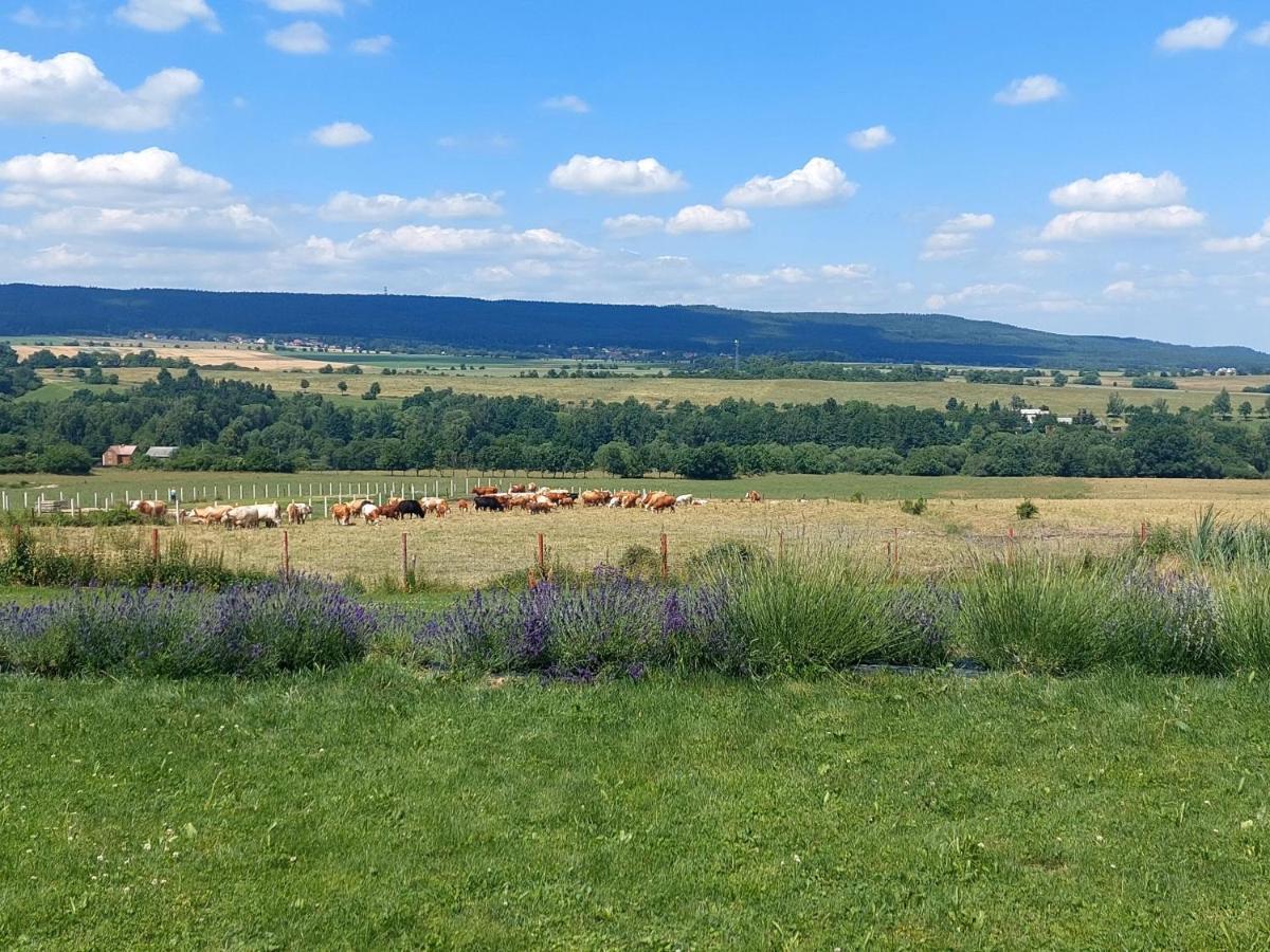 Villa Panorama House Brdy Příbram Esterno foto